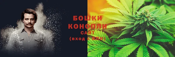 PSILOCYBIN Гусиноозёрск