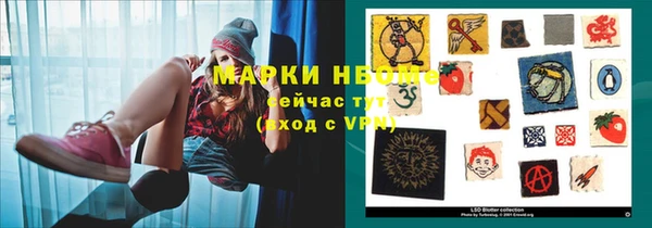 apvp Вяземский