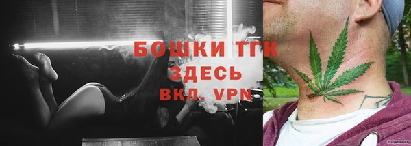 PSILOCYBIN Гусиноозёрск