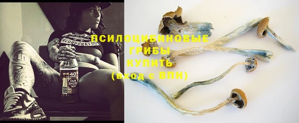 мескалин Верея
