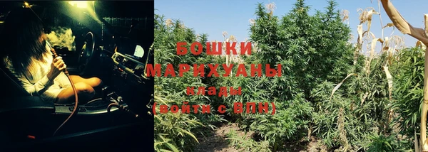 apvp Вяземский