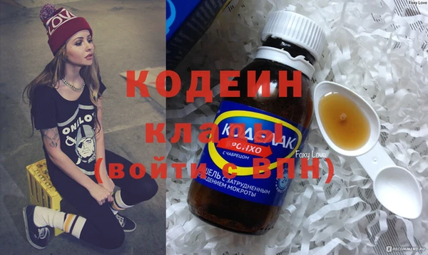 apvp Вяземский