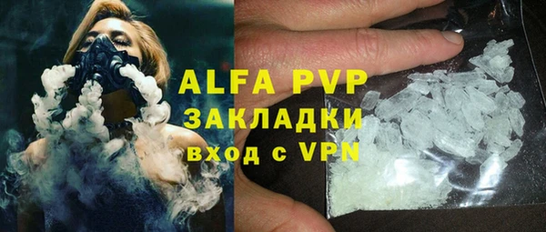 PSILOCYBIN Гусиноозёрск