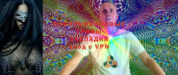 apvp Вяземский