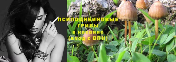 PSILOCYBIN Гусиноозёрск