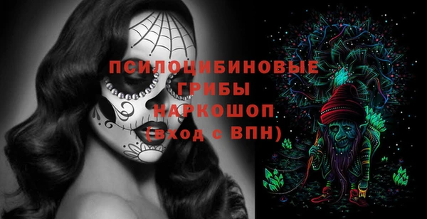 первитин Гусев