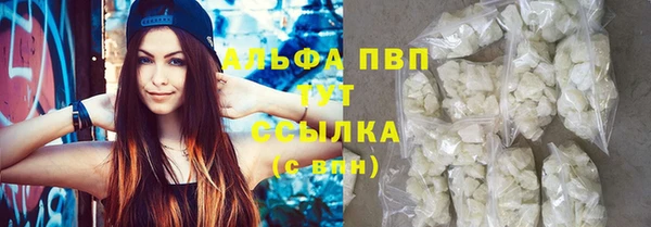 apvp Вяземский